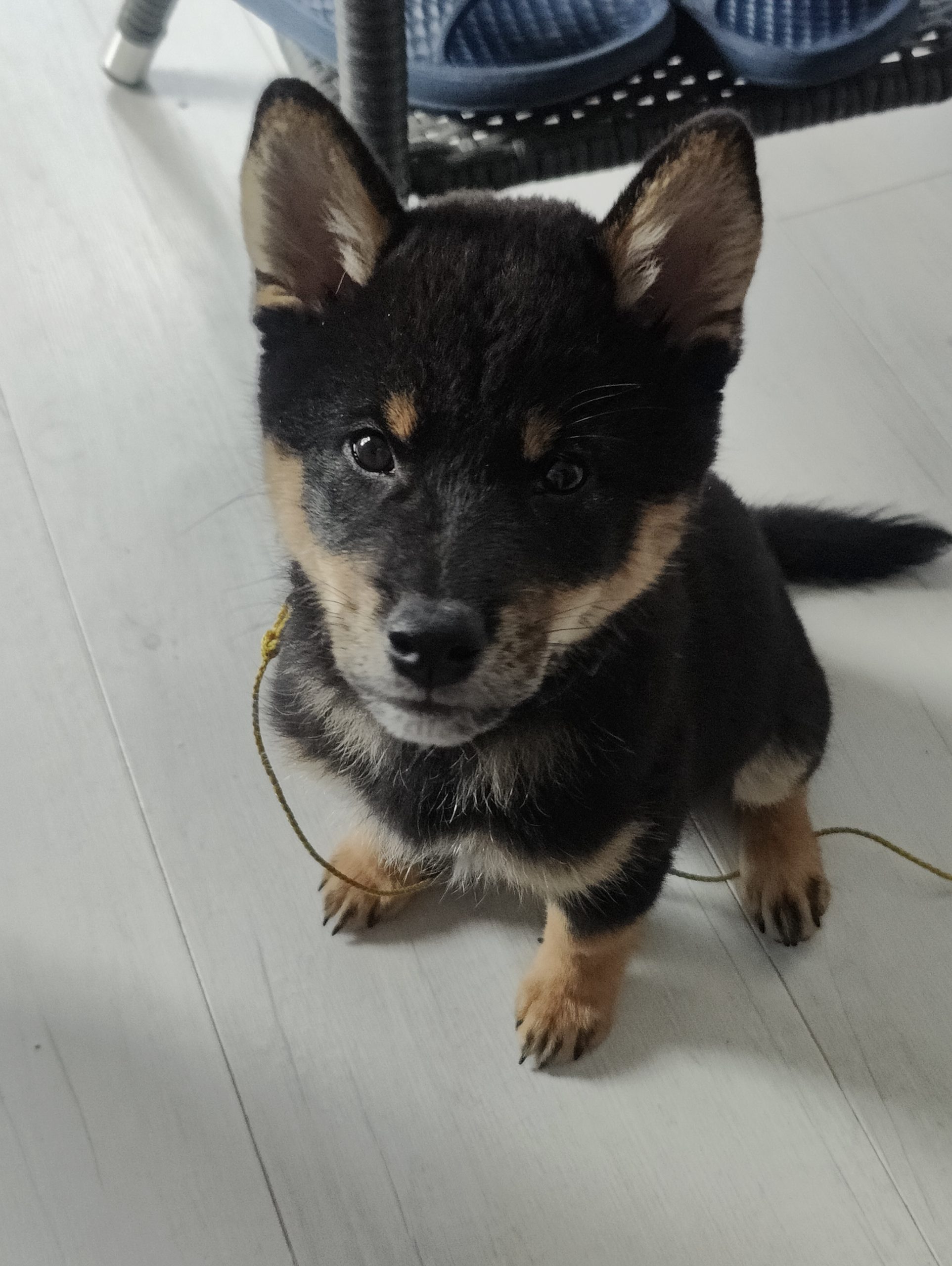 Bilder eurer Lieblinge