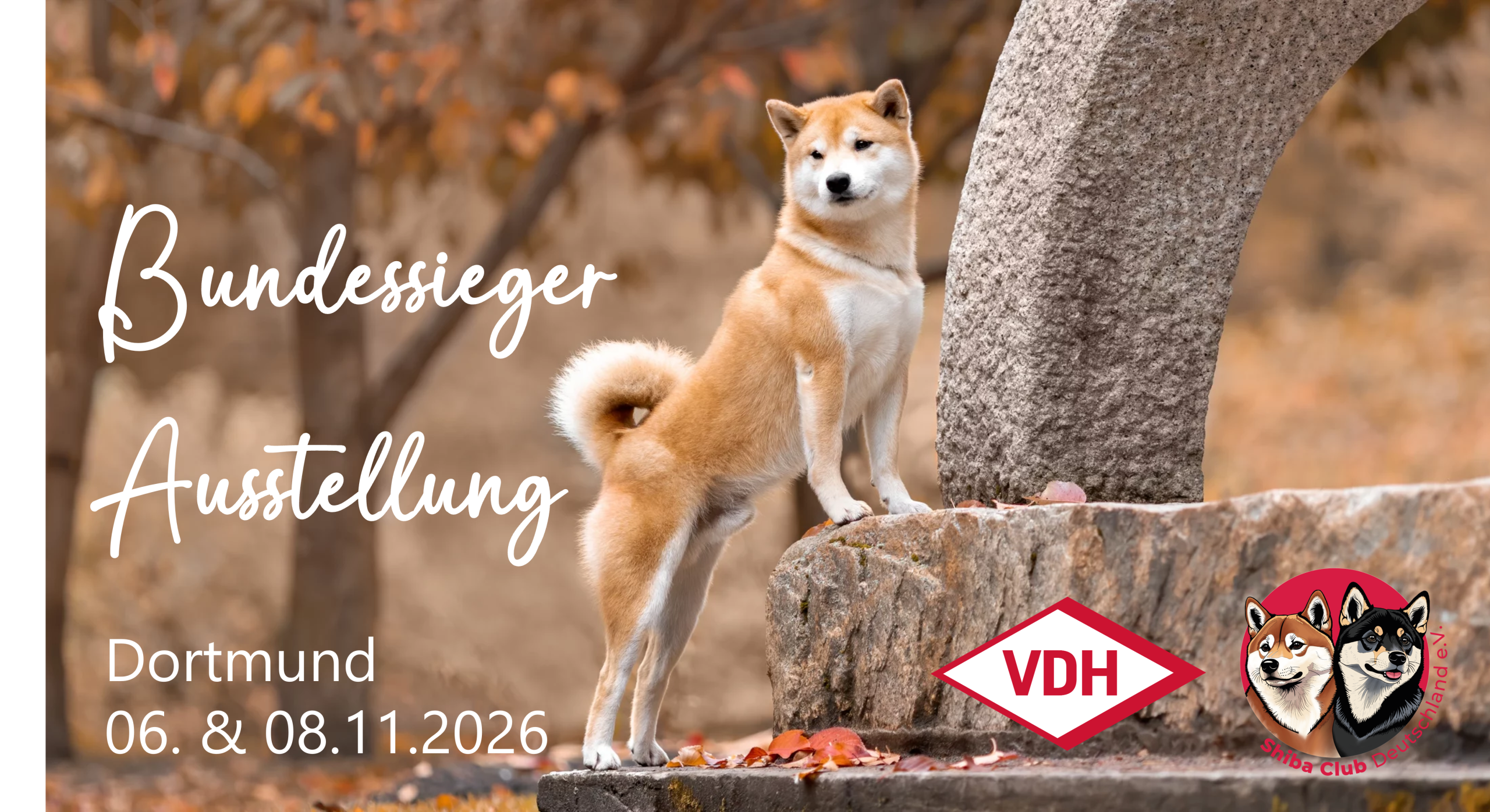 Herbstsieger Ausstellung in Dortmund (VDH)