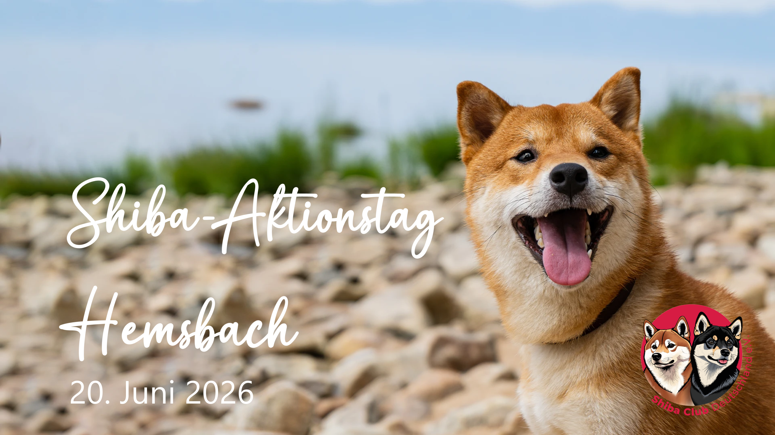Shiba-Aktionstag in Hemsbach am 20. Juni 2026