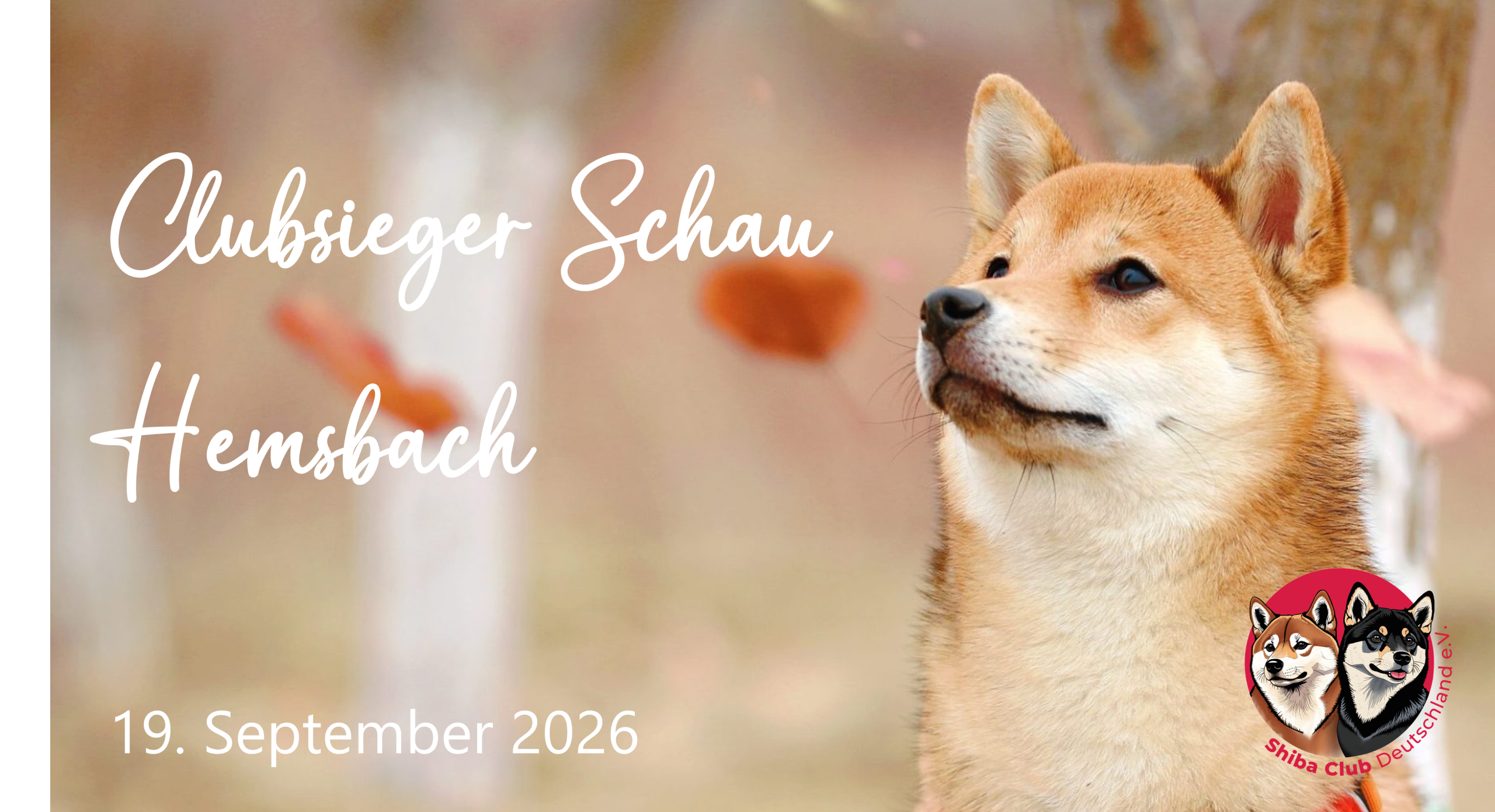 Clubsieger Schau Hemsbach am 19. September 2026