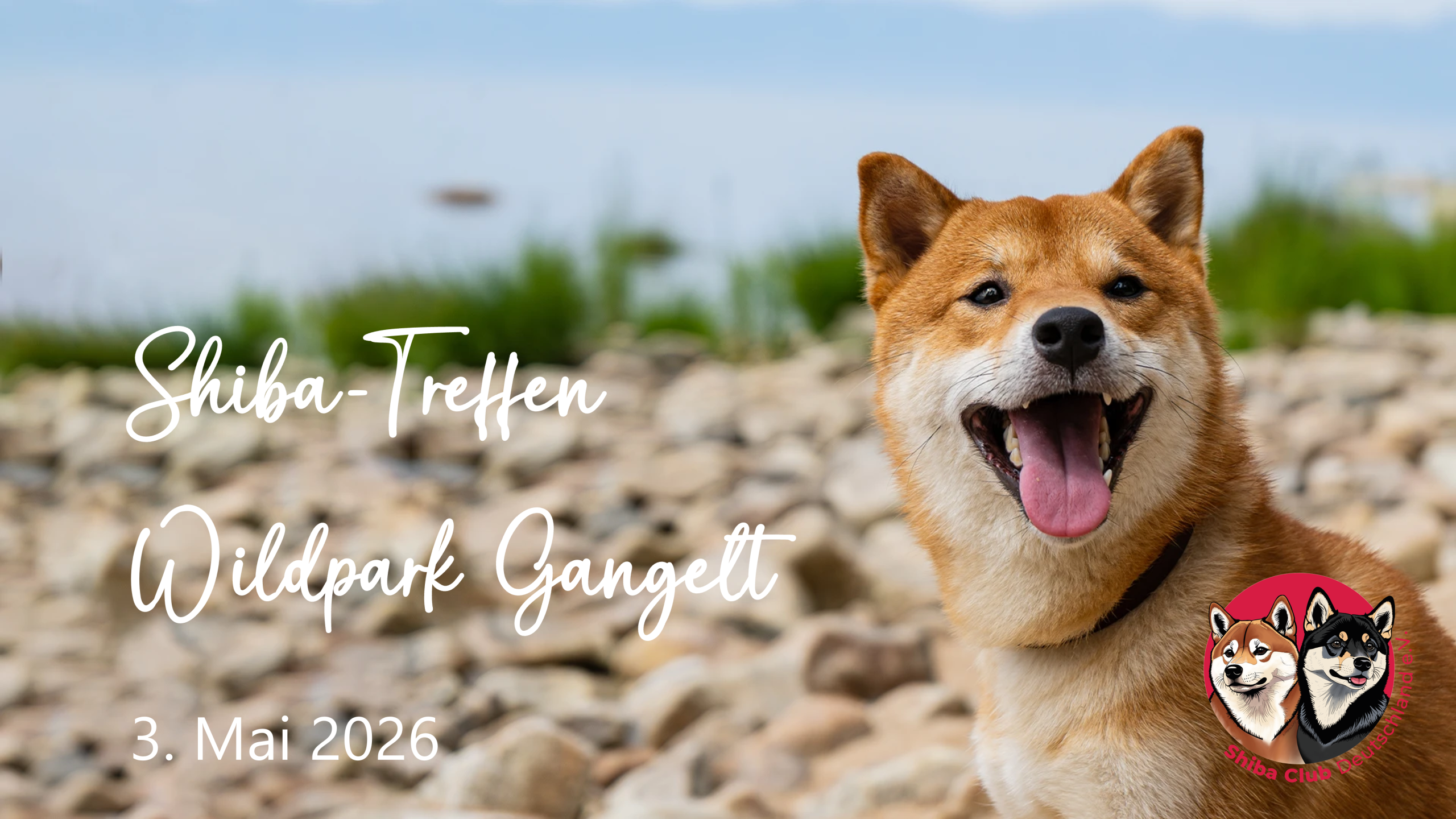Shiba Treffen am 03.05.2026 im Wildpark Gangelt